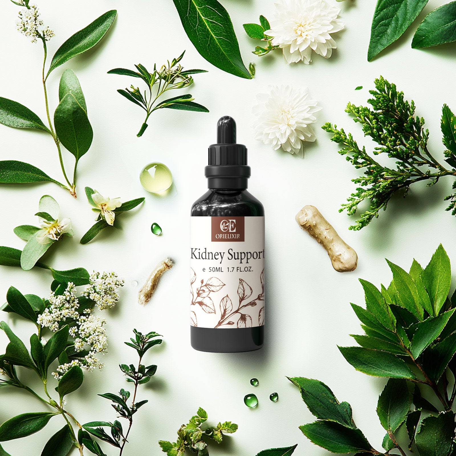 OriElixir Vital Root Oil ｜Energizing Ritual for Inner Strength – 100% Natural Massage Oil