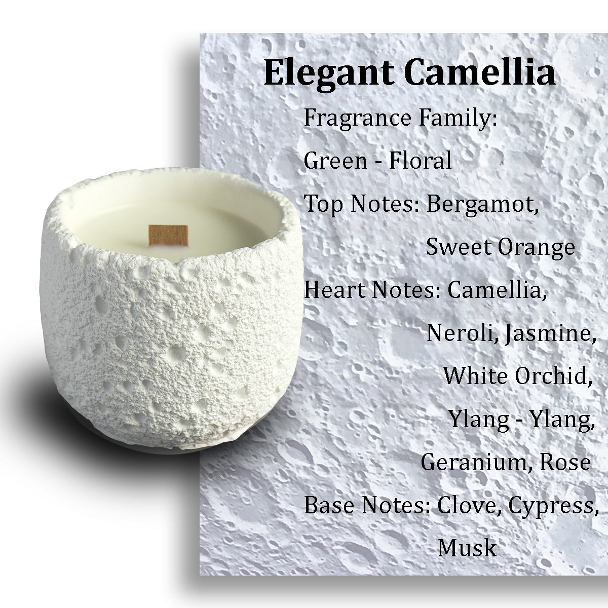 Plaster Cup Candle | Halloween Scented Candle | Soy Candles for Home Fragrance & Decor | Gypsum Material 200g